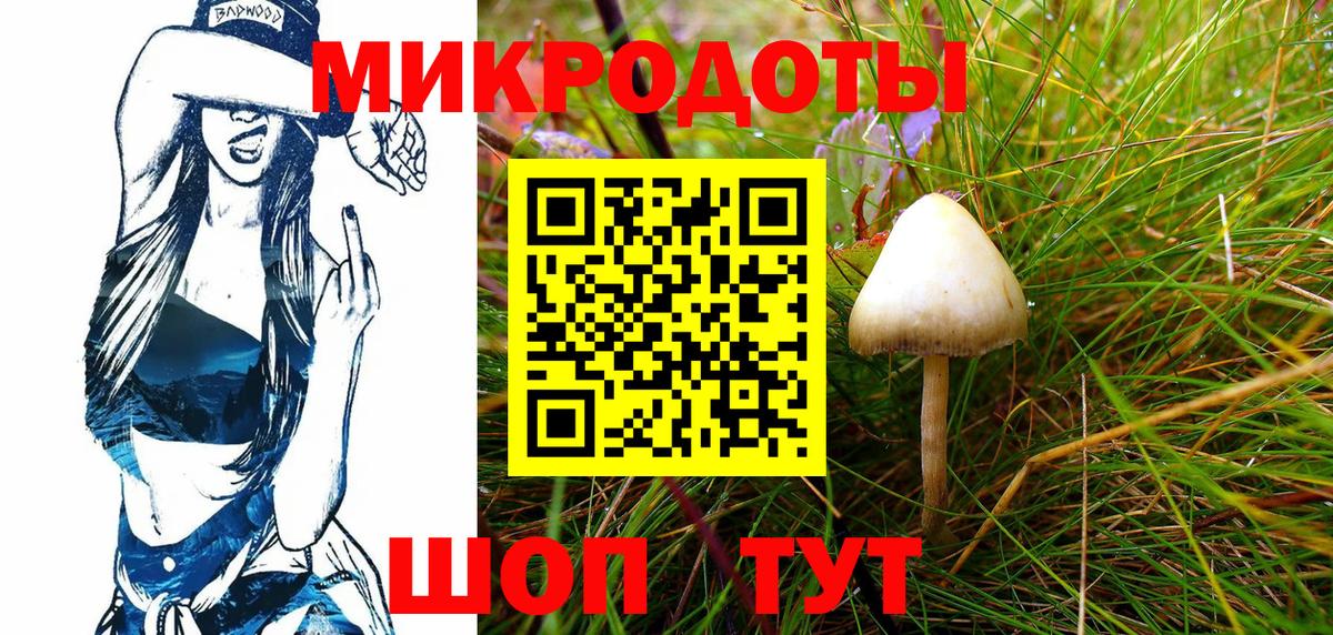 Галлюциногенные грибы MAGIC MUSHROOMS  Псилоцибиновые грибы мицелий  Вход с VPN  Лесозаводск 